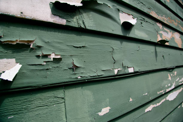 Best Demolition Debris Removal  in Wailua, HI